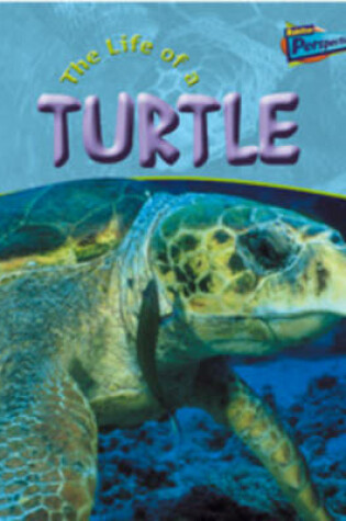 Cover of The Life Of A Turtle