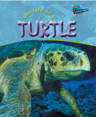 Book cover for The Life Of A Turtle