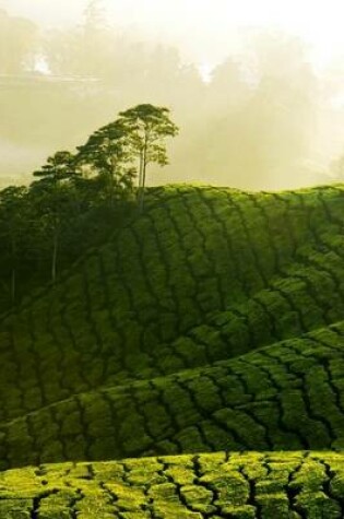 Cover of Tea Plantation in Malaysia