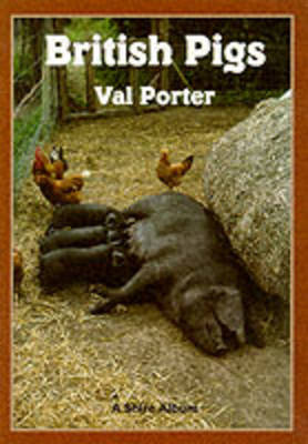 Book cover for British Pigs