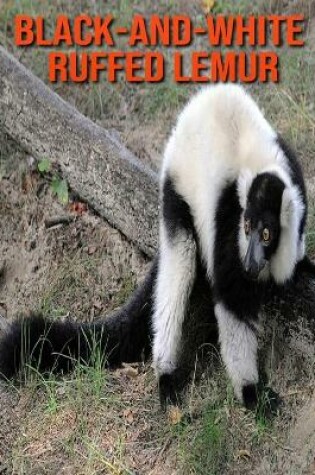 Cover of Black-and-White Ruffed Lemur