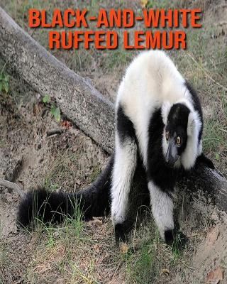 Book cover for Black-and-White Ruffed Lemur