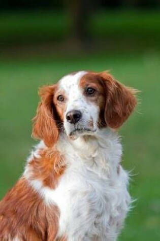 Cover of The Brittany Spaniel Dog Journal