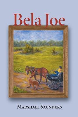 Cover of Bela Joe