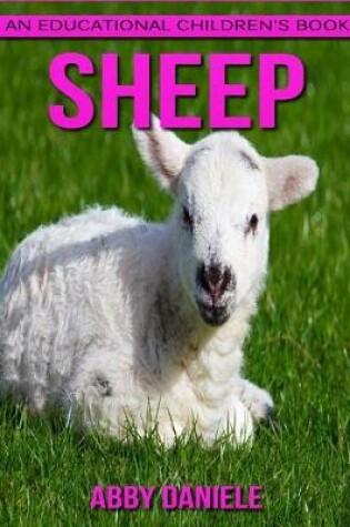 Cover of Sheep! An Educational Children's Book about Sheep with Fun Facts & Photos