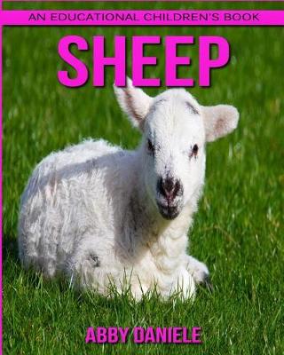 Book cover for Sheep! An Educational Children's Book about Sheep with Fun Facts & Photos