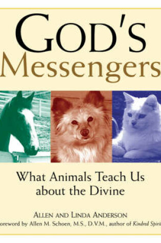Cover of God's Messengers