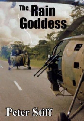 Book cover for The rain goddess