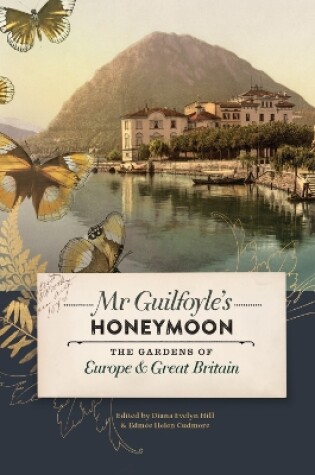 Cover of Mr Guilfoyle's Honeymoon
