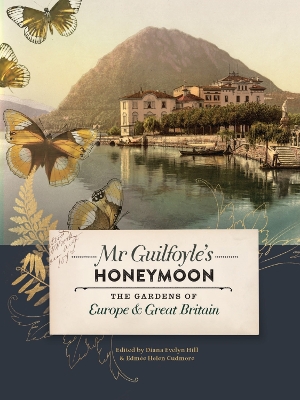 Book cover for Mr Guilfoyle's Honeymoon