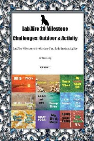 Cover of Lab'Aire 20 Milestone Challenges