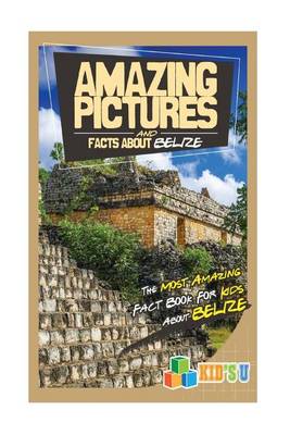 Book cover for Amazing Pictures and Facts about Belize