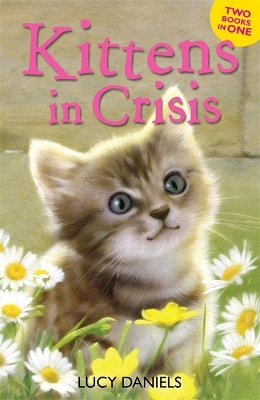 Cover of Kittens in Crisis