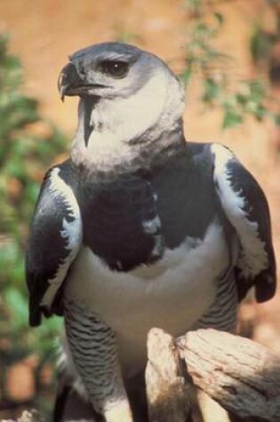 Cover of Harpy Eagle, Birds of the World