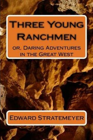 Cover of Three Young Ranchmen