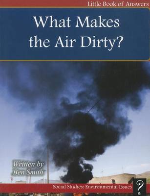 Book cover for What Makes the Air Dirty?