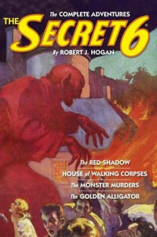 Cover of The Secret 6