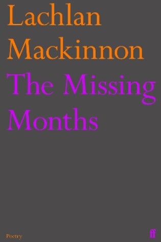 Cover of The Missing Months