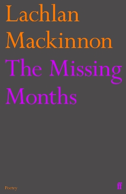 Book cover for The Missing Months