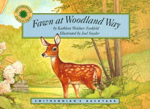 Book cover for Fawn at Woodland Way