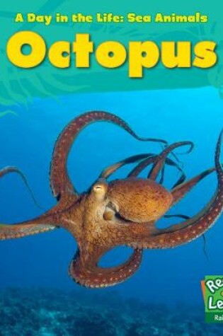 Cover of Octopus