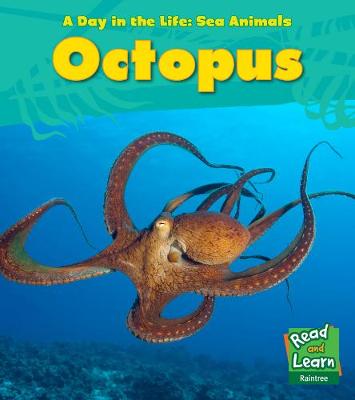 Cover of Octopus