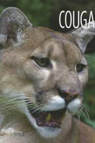 Cover of Cougars