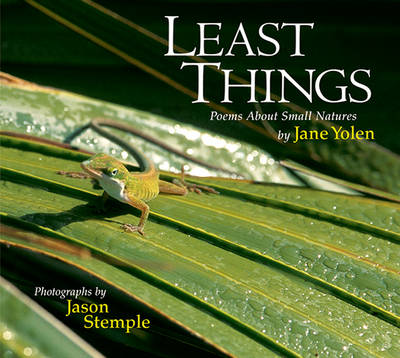 Book cover for Least Things