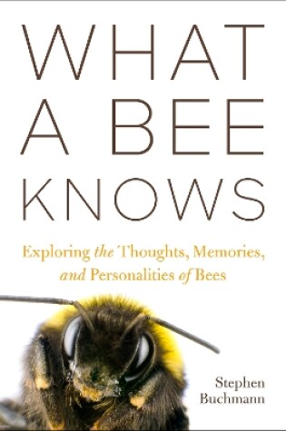 Cover of What a Bee Knows