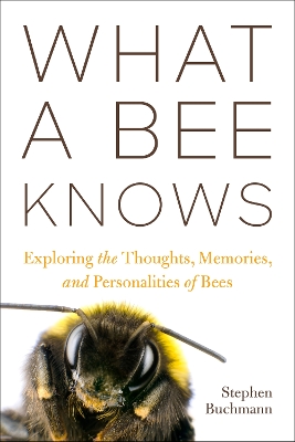 Book cover for What a Bee Knows