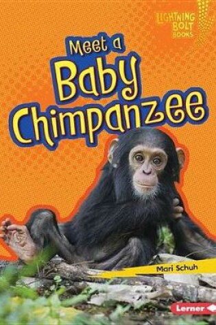 Cover of Meet a Baby Chimpanzee