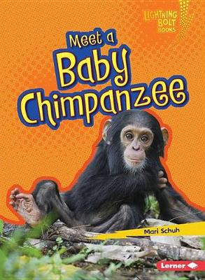 Cover of Meet a Baby Chimpanzee