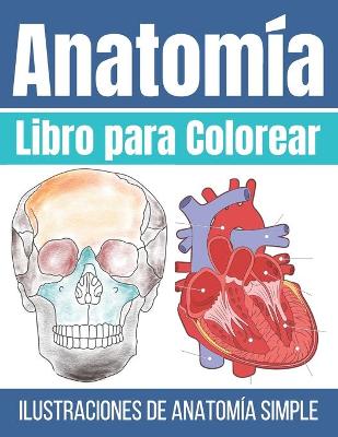 Book cover for Libro para Colorear Anatomía