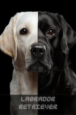 Book cover for Labrador Retriever