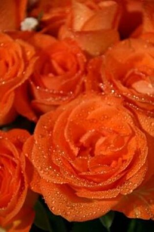 Cover of Orange Roses Covered in Morning Dew Journal