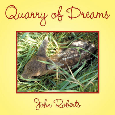 Book cover for Quarry of Dreams