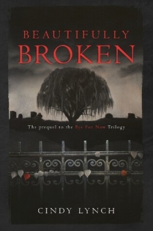 Cover of Beautifully Broken