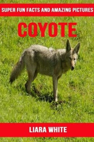 Cover of Coyote