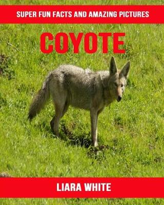 Book cover for Coyote