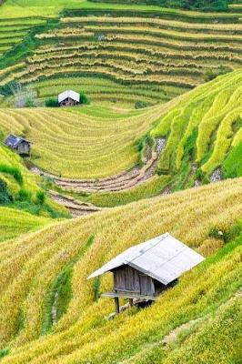 Book cover for Terraced Rice Paddy in Vietnam Travel Journal