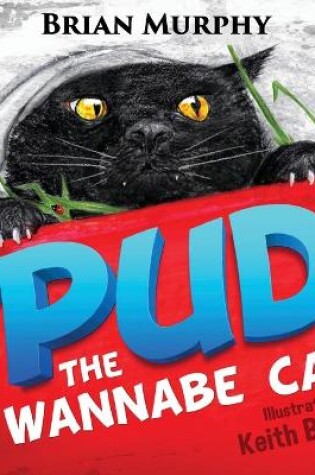 Cover of Pud