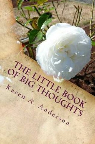 Cover of The Little Book of BIG Thoughts -- Vol. 4