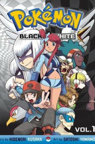 Cover of Pokémon Black and White, Vol. 11