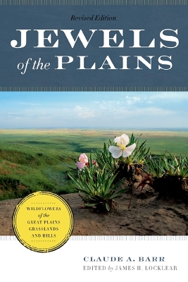 Book cover for Jewels of the Plains