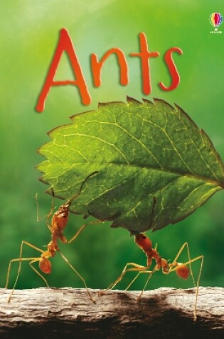 Cover of Ants