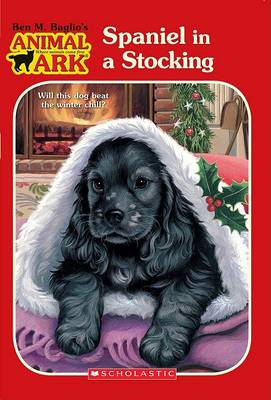 Book cover for Spaniel in a Stocking