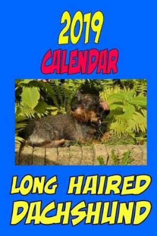 Cover of 2019 Calendar Long Haired Dachshund