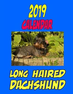 Book cover for 2019 Calendar Long Haired Dachshund