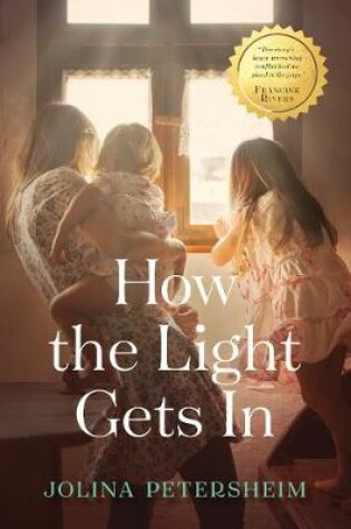 Cover of How the Light Gets In