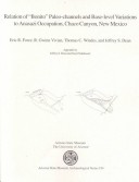 Book cover for The Relation of "Bonito" Paleo-Channels and Base-Level Variations to Anasazi Occupation in Chaco Canyon, New Mexico